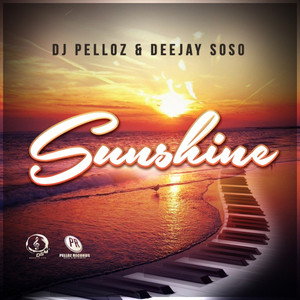Dj Pelloz - Sunshine (Amapiano)