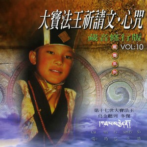 大宝法王祈请文 (精进版)