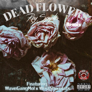 Dead Flowers (feat. WaveGangMol & WestShoreJabs) [Remix] [Explicit]