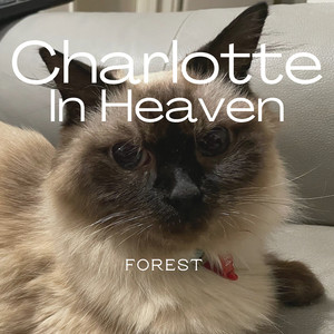 Charlotte in Heaven