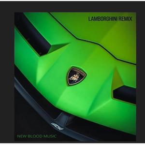 LAMBORGHINI (feat. ANWILL) [REMIX] [Explicit]