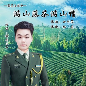 满山藤茶满山情 (伴奏)