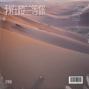 我在楼兰等你 DJ豪大大版 (伴奏)