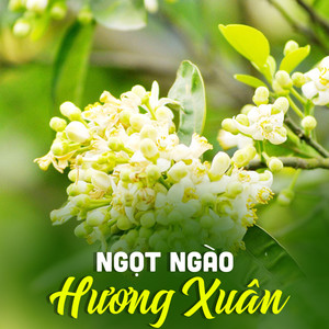 Tình Xuân Mênh Mang
