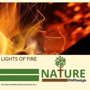 Himalayan Mountain Wind Summer Day