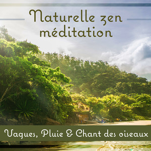 Naturelle zen méditation: Vagues, Pluie & Chant des oiseaux, Belle nature, Paix intérieure, Yoga, Reiki, Chakra équilibrage