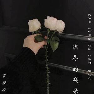 燃尽的残朵 (伴奏)