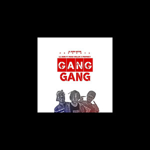 Gang Gang (feat. Frosh Muller, VGL Prophecy) [Explicit]