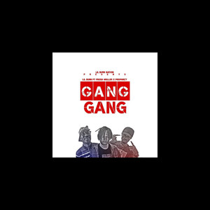 Gang Gang (feat. Frosh Muller, VGL Prophecy) (Explicit)