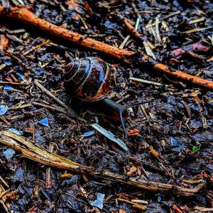 Real or Fake ? (feat. Jay Cymbal & melxbass) (Explicit)