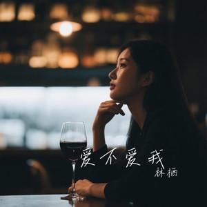 爱不爱我 (破碎版)封面