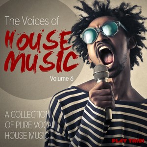 The Voices Of House Music, Vol. 6