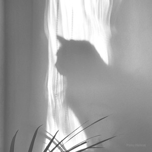 Hellcat (Explicit)