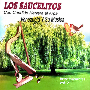 Los Saucelitos Instrumentales Vol.2