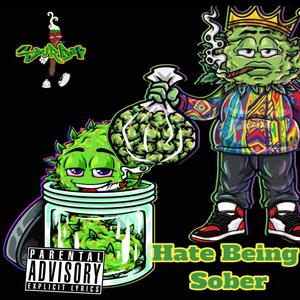 Hate Being Sober (Explicit)