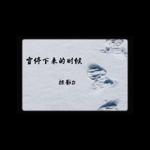 雪停下来的时候封面