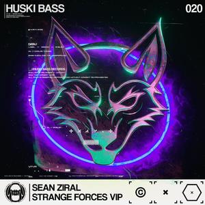 Strange Forces (VIP Mix)