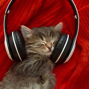 Tranquillité Féline : Musique Relaxante pour Chats Heureux