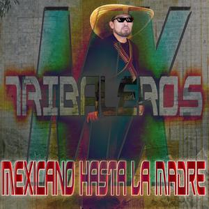 Mexicano Hasta La Madre (feat. DJ Mexica)