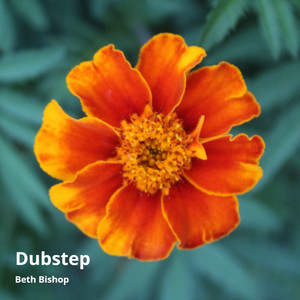 Dubstep