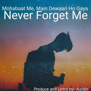 Mohabaat Me Main Dewaan Ho Gaya (Never Forget Me)