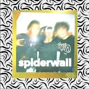 Spiderwall