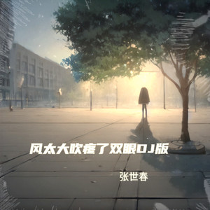 风太大吹疼了双眼DJ版 (伴奏)