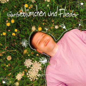 Gänseblümchen und Flieder