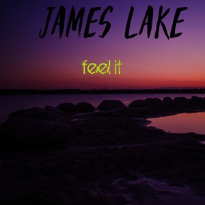 Feel It - Single