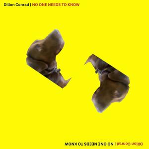 No One Needs To Know (feat. Dillon Conrad)