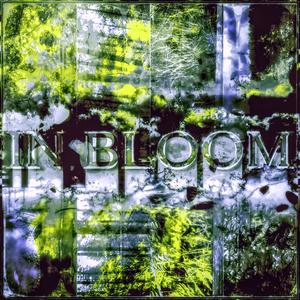 In Bloom