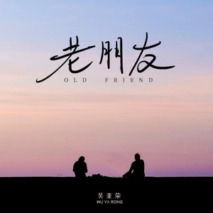 老朋友