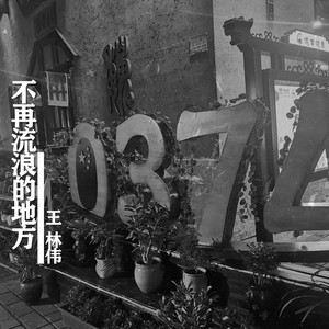 不再流浪的地方