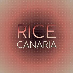 Rice Canaria