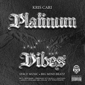Platinum Vibes (Explicit)