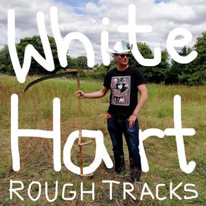 Rough Tracks (Explicit)