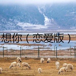 再见只是陌生人 (琪琪)