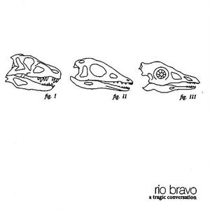 In Which Our Story Lies