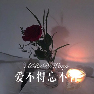 爱不得忘不舍