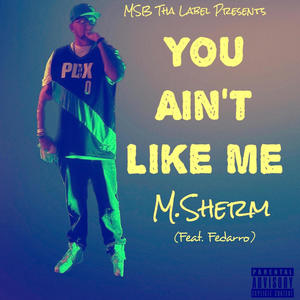 You Ain't Like Me (feat. Fedarro) [Explicit]