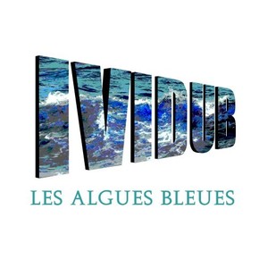 Les algues bleues