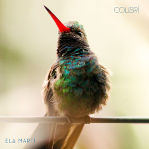 Colibrí