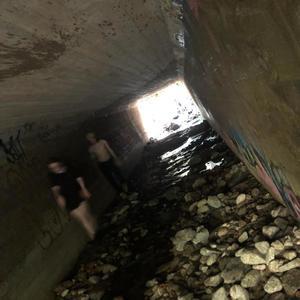 I've Made a Severe Lapse of Judgement (Explicit)