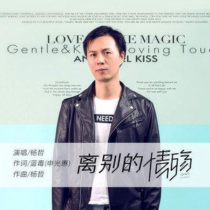 离别的情殇 (伴奏)