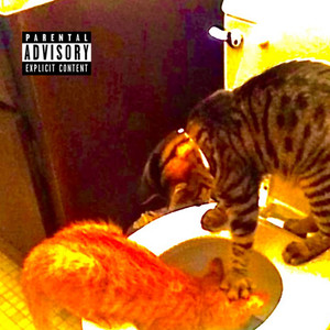 Rokstarlyfe (Explicit)