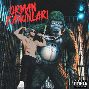 ORMAN KANUNLARI (Explicit)