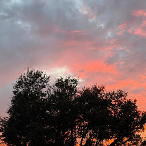 First Week in Hell (Explicit)