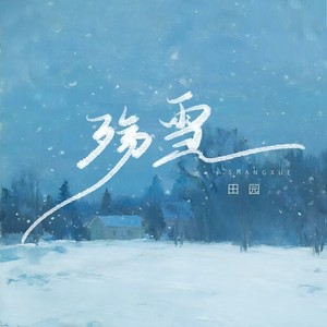 殇雪 (DJ九零版)封面