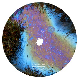 Way Of Life (Original Mix)