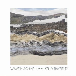 Harrier From The Marsh (feat. Phil Beer, Ruth Wall & David Edward Booth)
